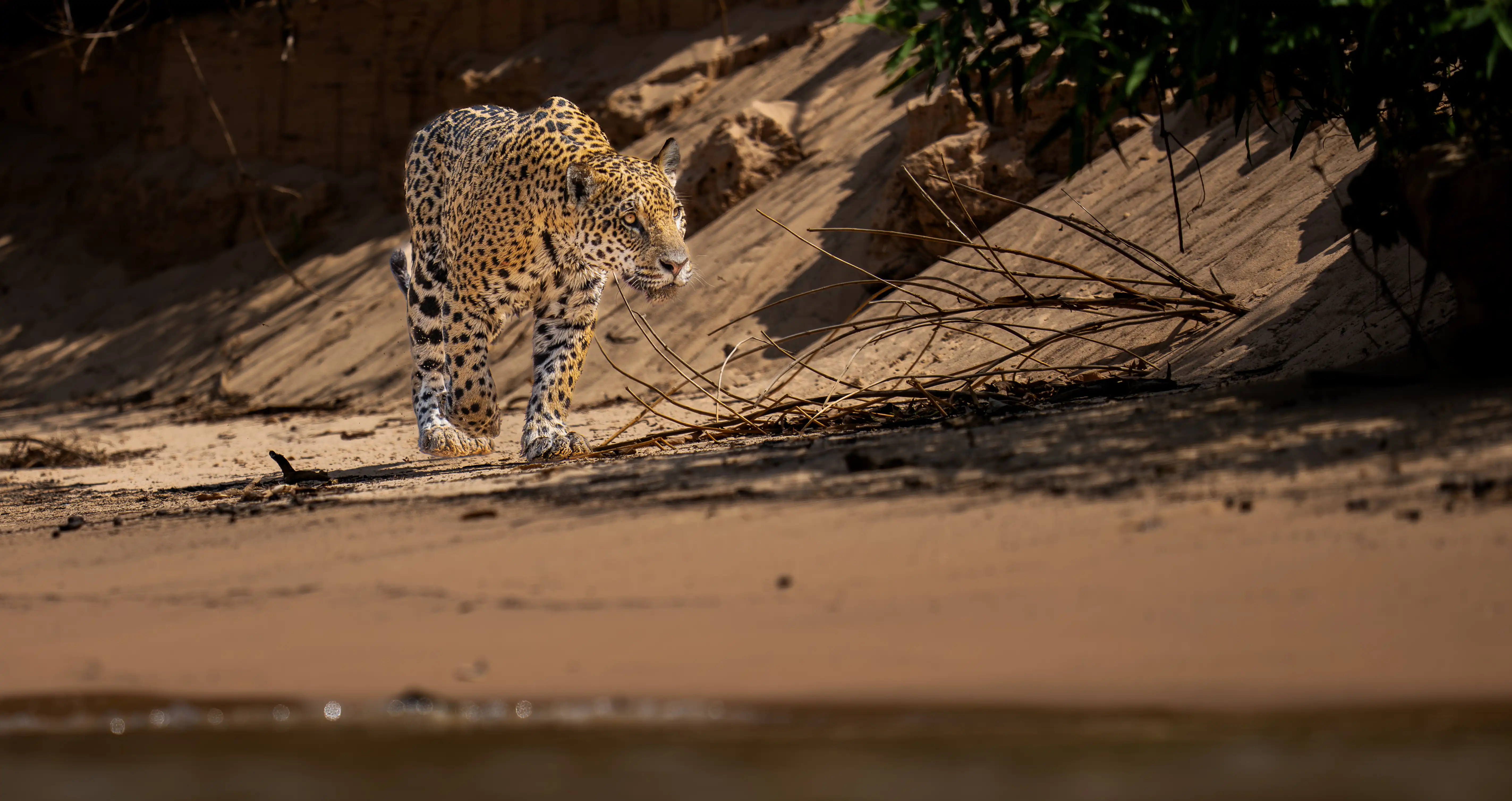 Instagram Post Placeholder